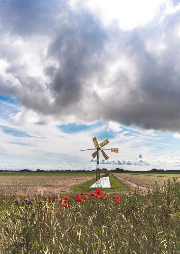 Hollandse Zomer deel 2