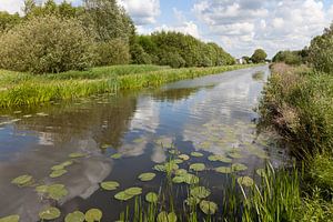 Spiegeling