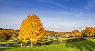Paysage aux couleurs d'automne dans la région de Zevenheuvelen à Groesbeek