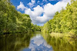 Die Weerribben, National Park Weerribben-Wieden.