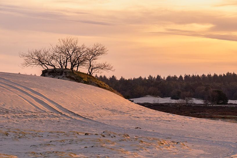 Coucher de soleil à Loonse en Drunense Duinen par Enrique De Corral