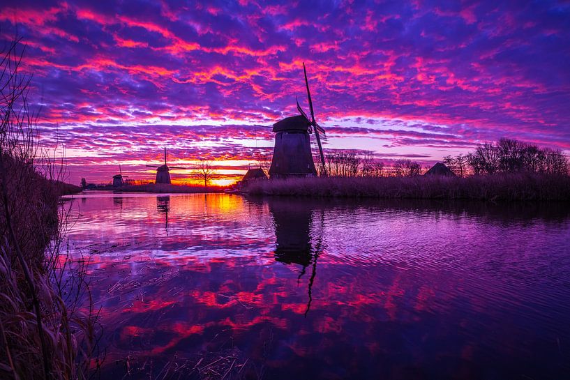 Purplesky by peterheinspictures