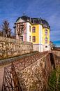 Voorjaarswandeling door de prachtige Saale vallei bij Dornburg-Camburg - Thüringen - Duitsland van Oliver Hlavaty thumbnail