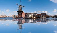 De Adriaan windmill in Haarlem van Brian Morgan thumbnail
