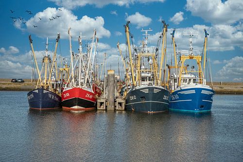 Fishing vessels in the port of Lauwersoog