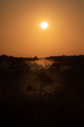 Grand silence