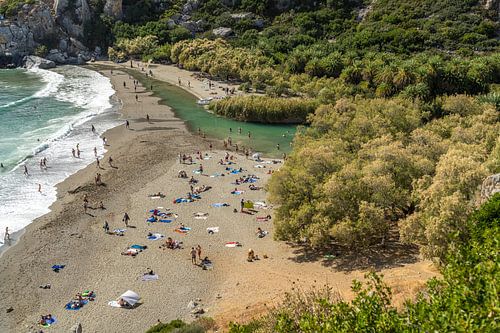 The palm beach of Preveli, Crete