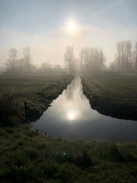 Ochtendgloren by Marcel Ter Horst