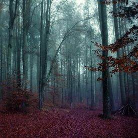 Mystic Wood von Franz Nagler