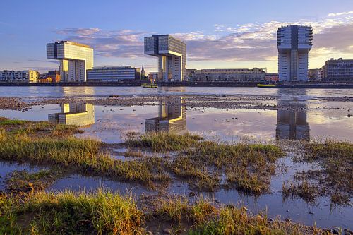 Bâtiments de la grue IV