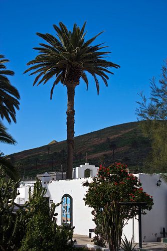 Kirche von Haria auf Lanzarote