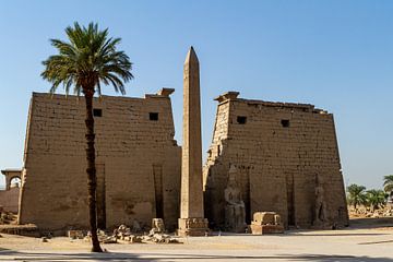 De tempels van Luxor van Roland Brack