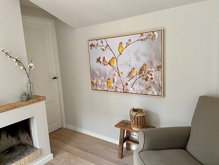 Oiseaux | Greenlings dans la neige