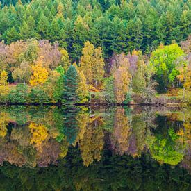 Herbst im Spiegelbild von Erwin van Liempd