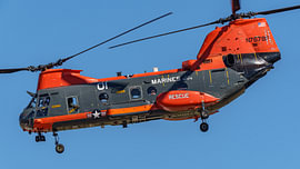Flyby Boeing Vertol CH-46E Sea Knight. sur Jaap van den Berg