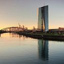 Europäischen Zentralbank in Frankfurt bei Sonnenuntergang von Markus Lange Miniaturansicht