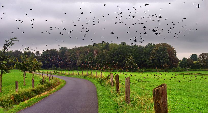 Visite d'oiseaux par Edgar Schermaul
