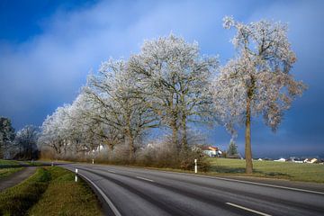 Winterlandschap langs een landweg van ManfredFotos