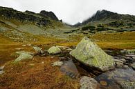 Tatra-Gebirgslandschaft in Polen von Merijn van der Vliet Miniaturansicht
