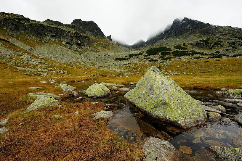 Tatra-Gebirgslandschaft in Polen von Merijn van der Vliet