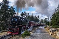 HSB 99 234 Goetheweg Brocken van Marcel Timmer thumbnail