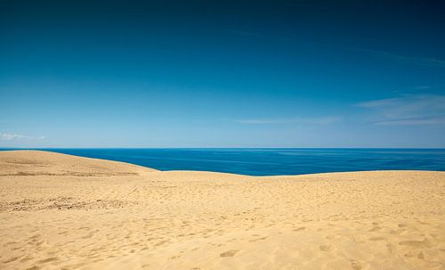 Dune