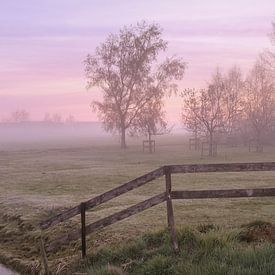 Ochtendglorie van Ilma Fotografie