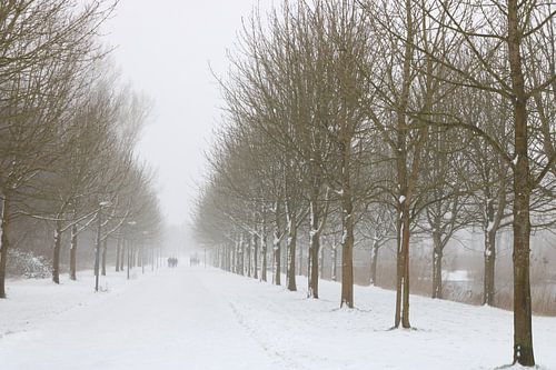 Stilte in de sneeuw