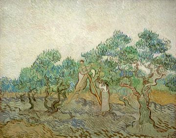 The Olive Orchard, Vincent van Gogh