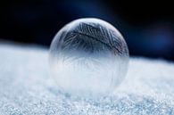 Macrofoto van een bevroren zeepbel van Inge Smulders thumbnail