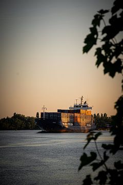 Containerschiff von Hailey Simons
