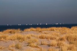 Duinen Nordzee van Tatjana Korneeva