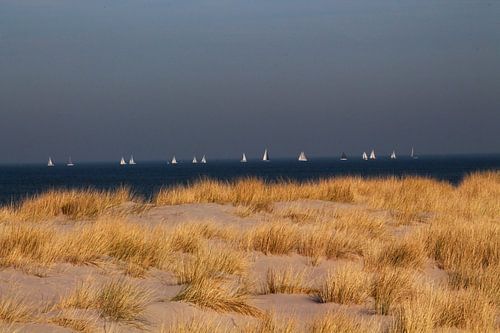 Duinen Nordzee