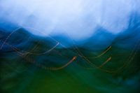 Blue hills in the forrest
