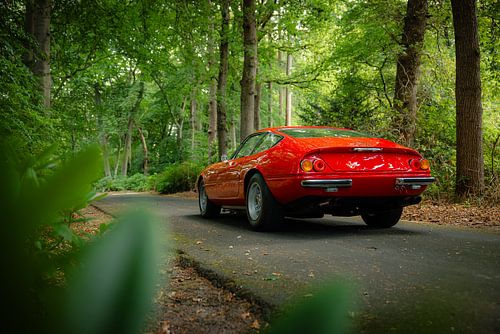 Ferrari 365 Daytona