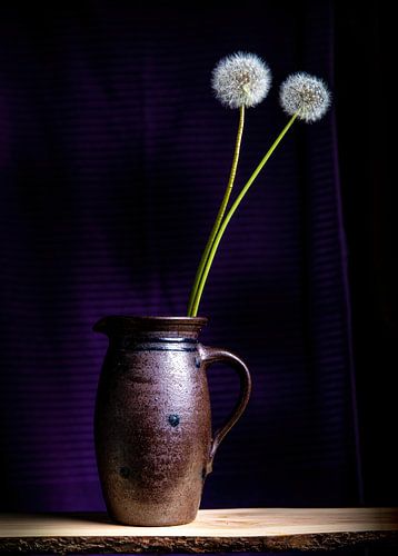 Löwenzahn von Frans Nijssen