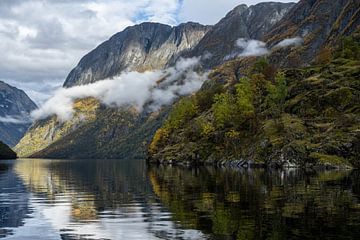 The Inspiring Silence of the Nærøyfjord II by Gerry van Roosmalen