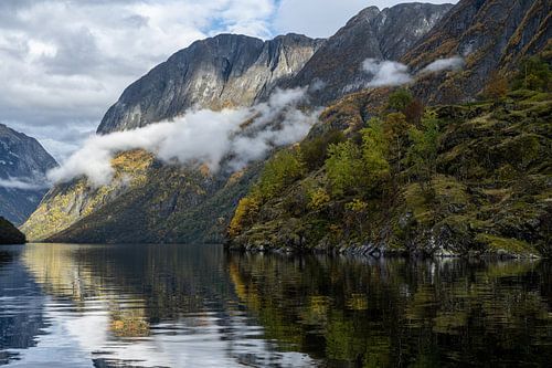 De Bezielende Stilte van het Nærøyfjord II