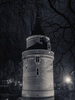 Kasteel Wijk bij Duurstede in de nacht