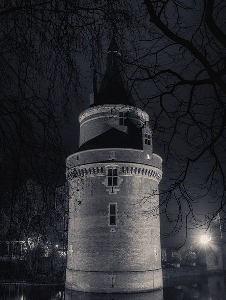 Kasteel Wijk bij Duurstede in de nacht van Rick van de Kraats