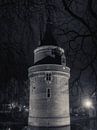 Kasteel Wijk bij Duurstede in de nacht van Rick van de Kraats thumbnail