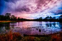 Ven Strabrechtse Heide Brabant in de schemering