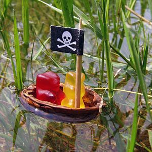 Die Gummibär-Piraten