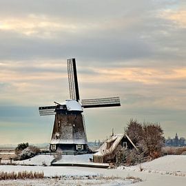 Molen De Havik in winterlandschap van Peter Bolman