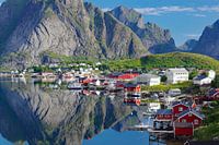 Reine in the Lofoten Islands