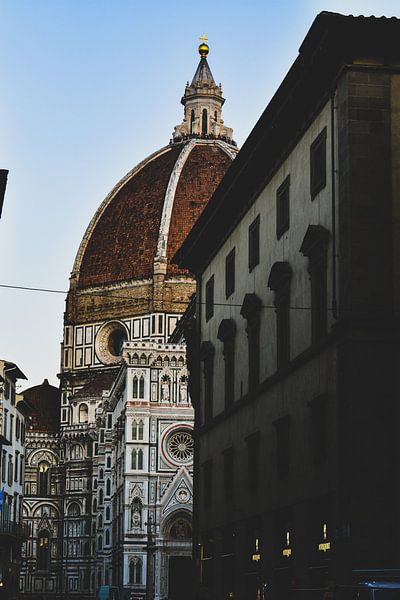 Florence by Hello Pompoyo