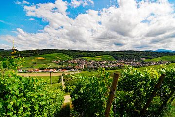 Pfaffenweiler wijndorp in de regio Markgräflerland van Ingo Laue