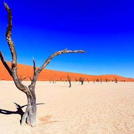 Sossusvlei-Wüste in Namibia von Sander Wehkamp