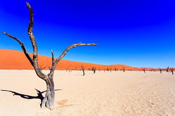 Sossusvlei woestijn in Namibie van Sander Wehkamp