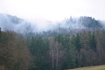 Bos in de mist in het Elbezandsteengebergte van Martin Köbsch